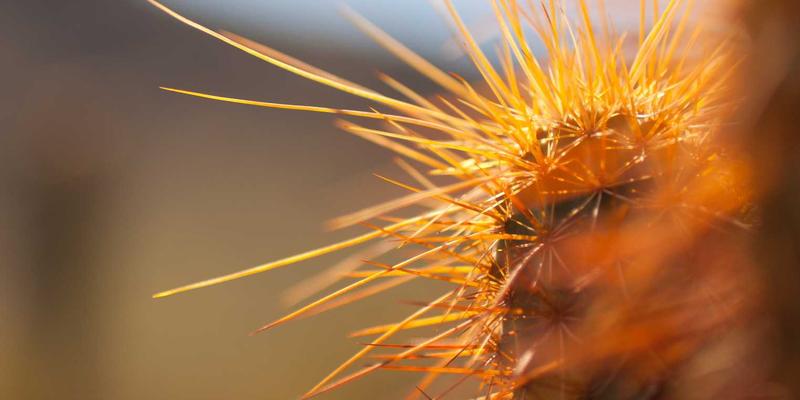 工业设备数字孪生技术：从虚拟调试到全生命周期管理的精密工程革命