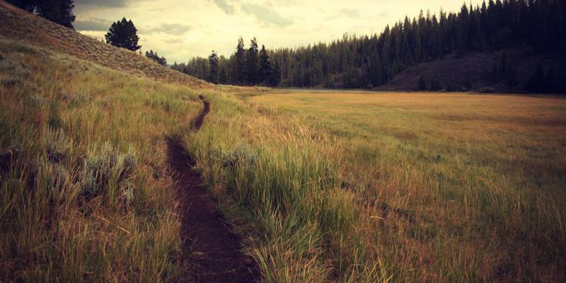 工业设备模块化与可重构设计：打造应对多品种小批量生产的柔性自动化生产线