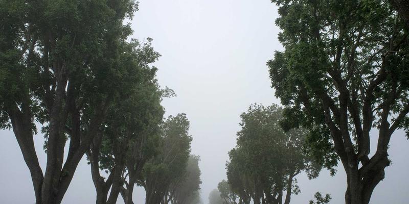 工业设备状态监测与预测性维护：驱动机械制造与自动化生产线迈向零停机时代