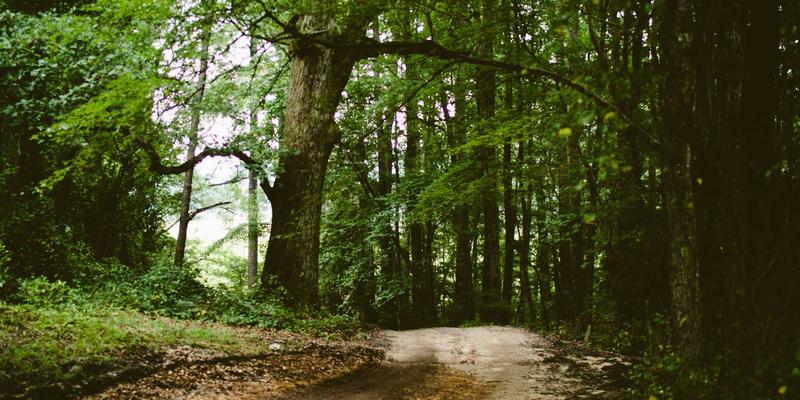 重型机械再制造新纪元：齐尔克赞克自动化生产线如何重塑循环经济