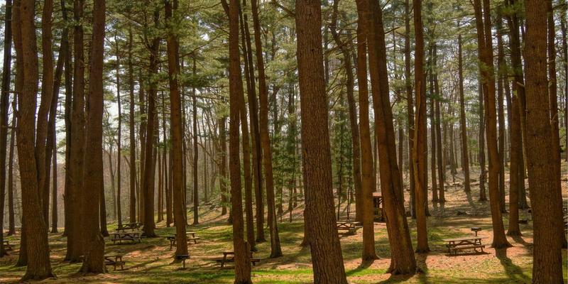重型机械:现代工业设备的基石与机械制造的巅峰