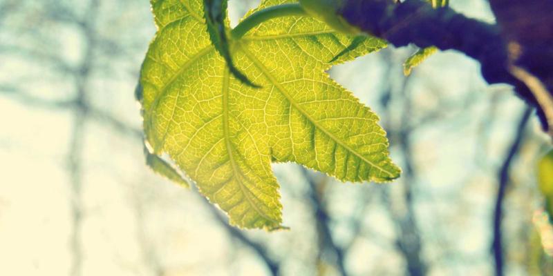 齐尔克赞克工业设备自动化生产线：智能仓储与AGV集成的物流革命